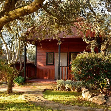 Camping Alquézar Exterior photo