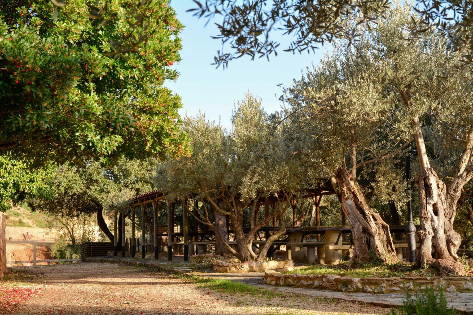 Camping Alquézar Exterior photo