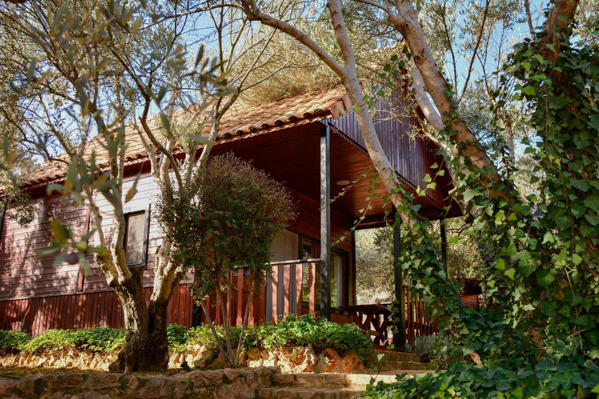 Camping Alquézar Exterior photo